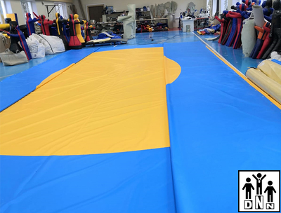 Покрышка борцовская плотность 630гр*м2 двухцветная люверсы (цена за 1 м2) DNN