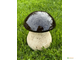 Скульптура 'Гриб' ср.