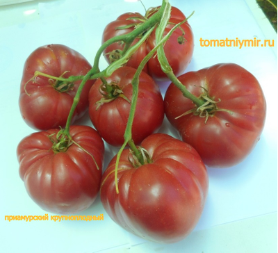 Томат Приамурский крупноплодный