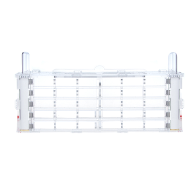 Комплект формикарий 4ants Crystal XL 3.0  с муравьями Messor Structor