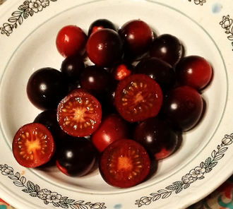 Семена томата Хельсинг Джаншн Блюз