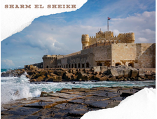 CAIRO &amp; ALEXANDRIA BY BUS FROM SHARM EL SHEIKH