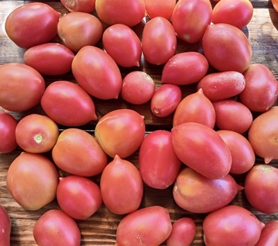 Томат Анастасия Ушакова