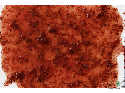 Tetra FreshDelica Krill (желе креветки), упаковка 6г (2х3г)