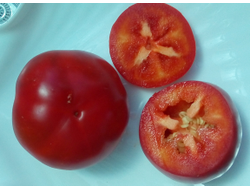 Перец острый Алма паприка (Яблочный перец, Alma Paprika)