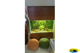 Аквариум под лестницей