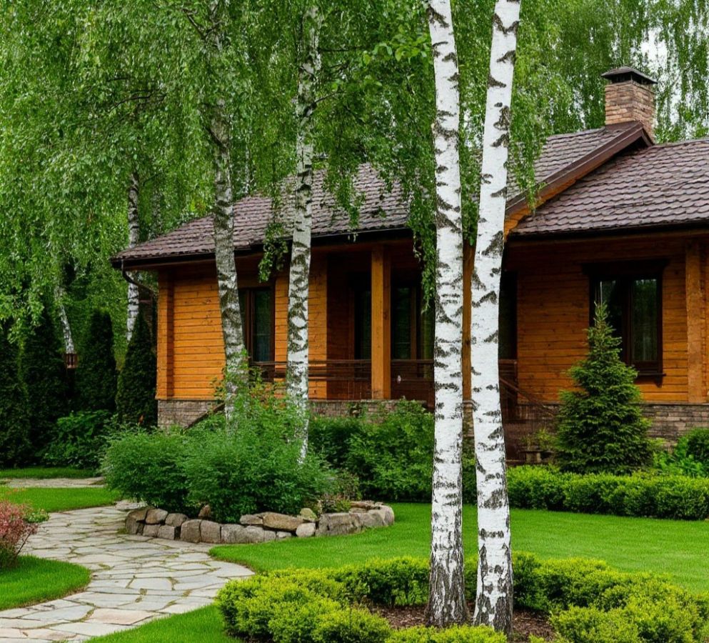 березовый лес