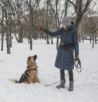 Меркель