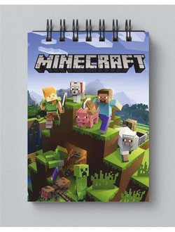 Блокнот Minecraft № 18