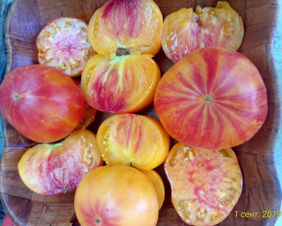 Томат Бурракерские любимцы (Burracker's Favorite)