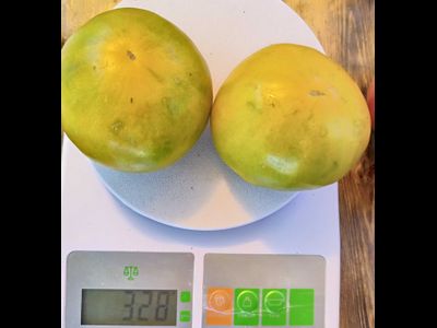 Томат Зеленый ананас (Green Pineapple), США