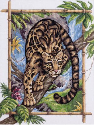 Дымчатый леопард ж-1711, Panna