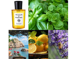 Acqua di Parma Buongiorno