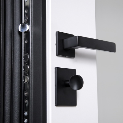 Стальная дверь   Silver с зеркалом. Заказная модель.