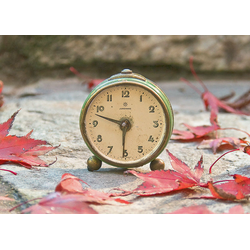 D0256 Осень на часах