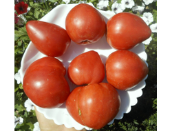 Томат Знаменитая клубника Миссис Шлаубах (Mrs. Schlaubaugh’s Famous Strawberry)