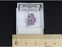 Миллерит на родохроме, в пластиковом боксе, Россия, Урал №20537