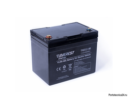 Гелевая аккумуляторная батарея Everest TNE12-40 (12V-34AH/C5)