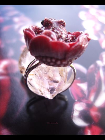 Парадное кольцо &quot;Дикий сербарин и лягушка&quot;