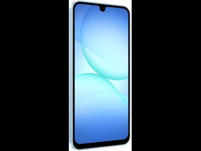 Samsung Galaxy A17 8/256GB RU A175 Голубой