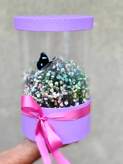 Букет из гипсофилы с бабочкой №57