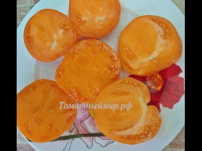 Томат Регби оранжевый (Rugby orange, США)