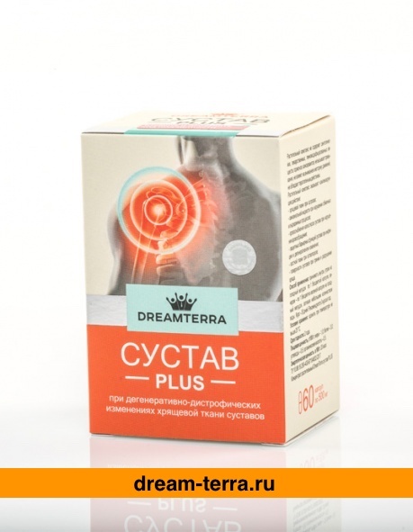«DREAMTERRA СУСТАВ PLUS» — растительные капсулы комплементарного действия