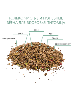 Fiory (Фиори) Classic корм для канареек, 400 г