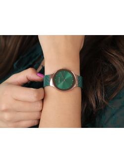 Наручные часы Bering 12934-868