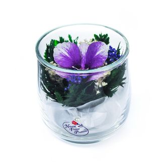 Модель № F130