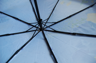 Зонт женский автоматический Цветы DINIYA (сатин), 6 видов