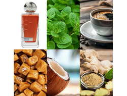 Hormone Paris Caffeine