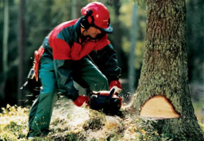 Бензопила CARVER RSG-45-18K