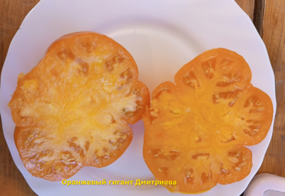 Томат Оранжевый гигант Дмитриева