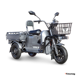 Грузовой электротрицикл Rutrike Баркас 740 60V1000W
