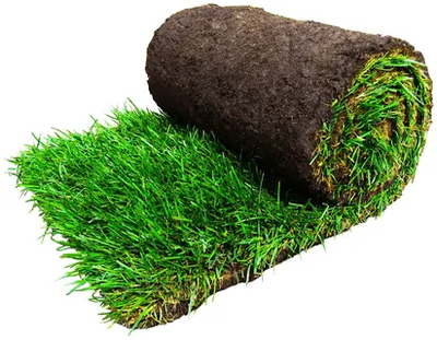 Рулонный газон "Стандарт"