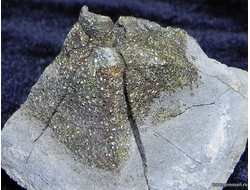 Пирит, "спектропирит", в полости конкреции. Россия. 65*35*40мм