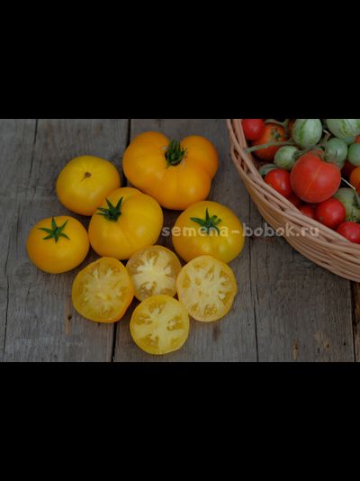 Томат Dwarf Jasmine Yellow (Гном Желтый Жасмин), 10 шт