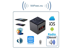 WiFi видеоняня с встроенным радио и беспроводной колонкой, с DVR, HD 960p (Pro Ezcam)