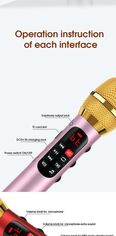 Профессиональный   караоке-микрофон      L-1038DSP  25w