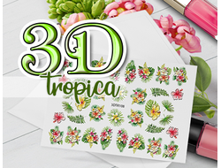 3D Tropica