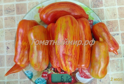 Томат Банан пестрый