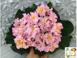 РМ-Яринка (Н. Скорнякова) 2021 г.