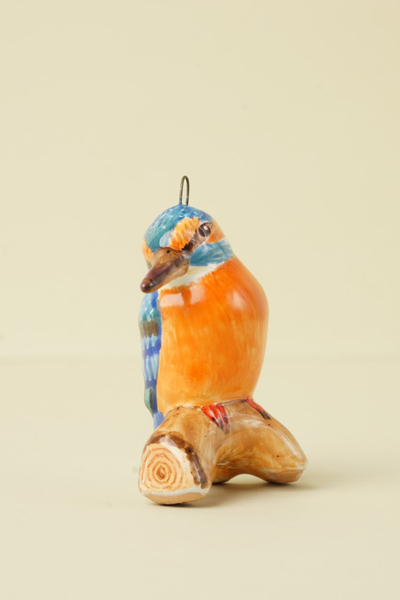 Зимородок - птицы России