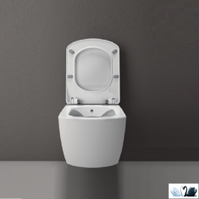 Унитаз-биде Creavit Elegant Rim-Off EG321.00000 подвесной, безободковый квадратная форма