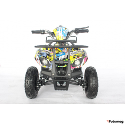 Квадроцикл GreenCamel Гоби K21 (30 Ah 36V 800W R6 Цепь) Граффити