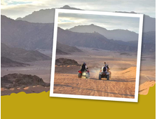 QUAD-SAFARI AM MORGEN (3-STÜNDIGES PROGRAMM)