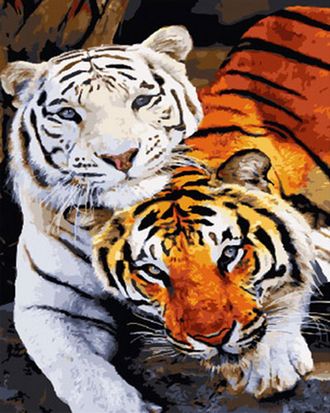 Картина по номерам 40х50 Эксклюзив!!! Тигры