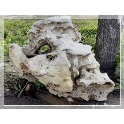 Известняк Эльбрус