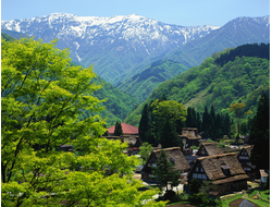 Купить греющую картину с фото поселение в горах